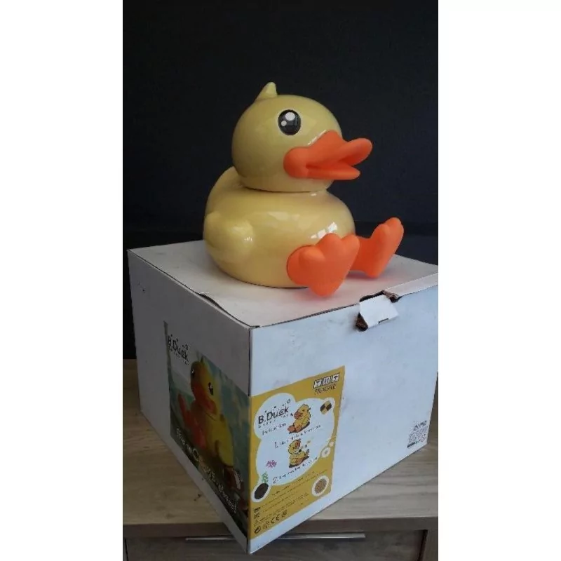 BOITES A GATEAU CANARD